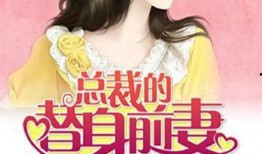 黑总前妻最新爆料小说,揭开豪门背后的惊天秘密